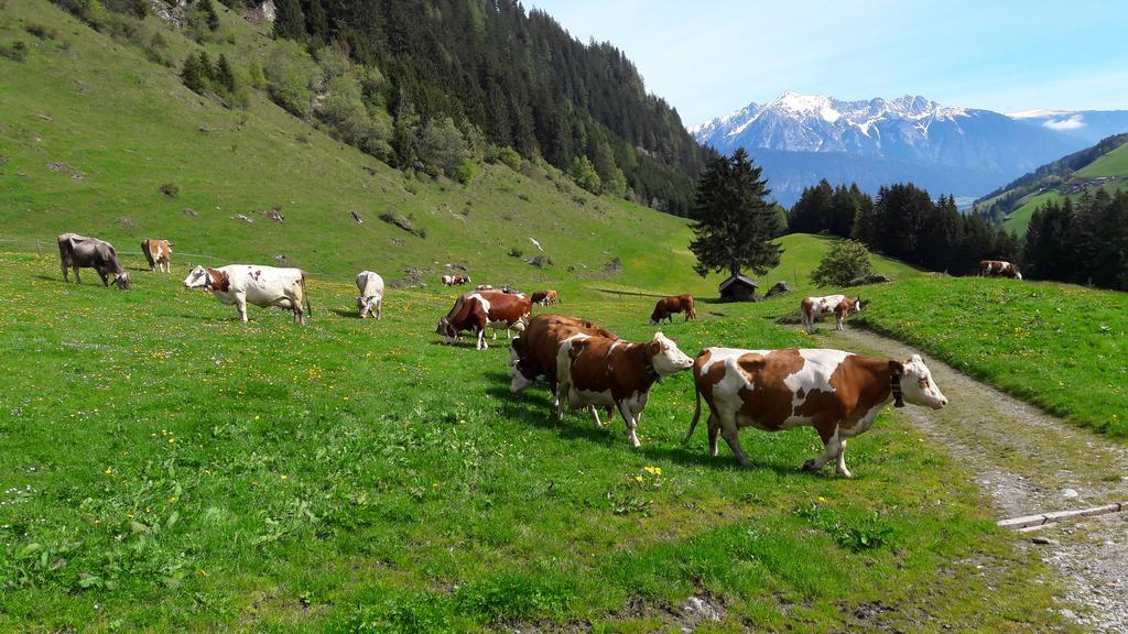 Apartments Feichtner Manfred -Tulfes - Innsbruck-Land - Tirol المظهر الخارجي الصورة